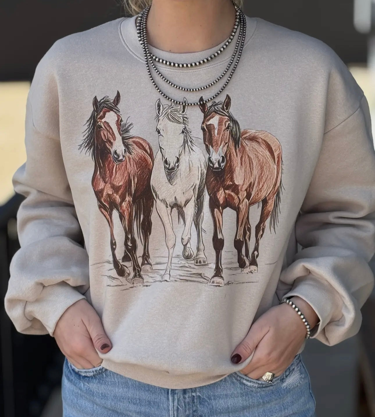 The All The Pretty Horses Sweatshirt-MEDIUM