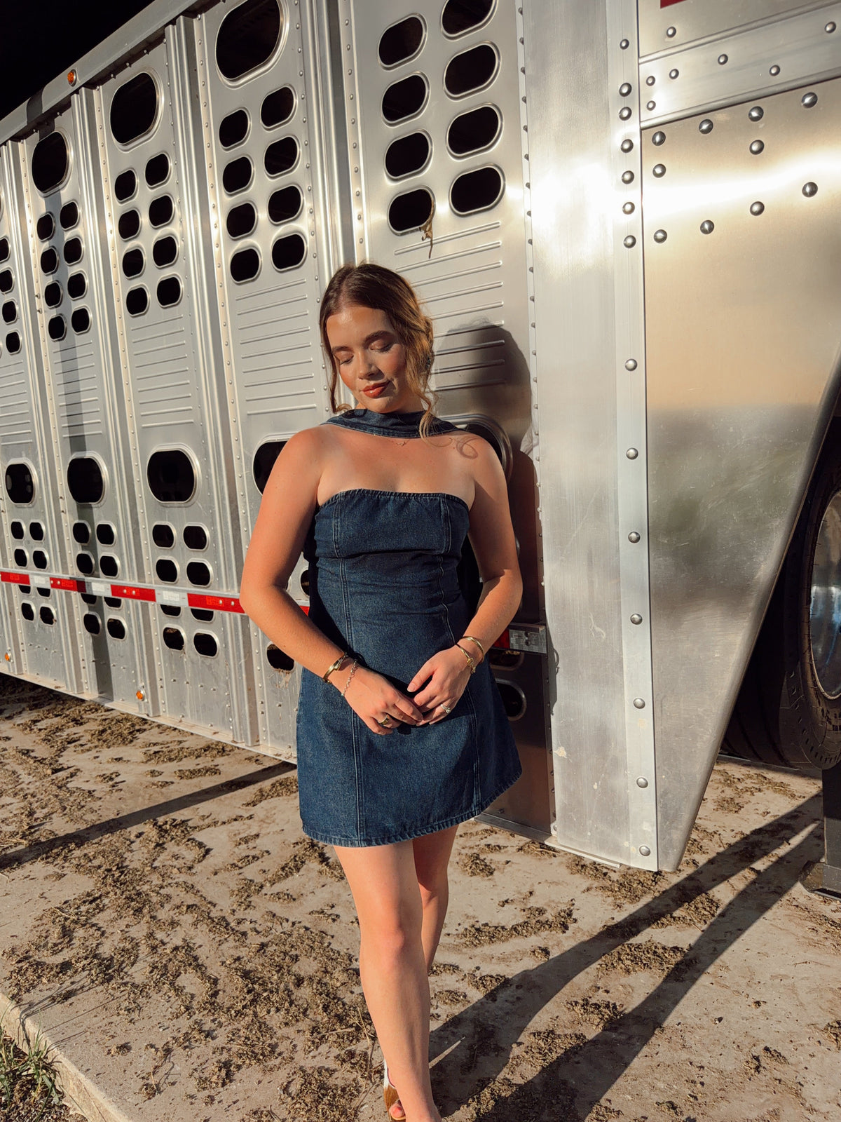 The Davie Denim Dress