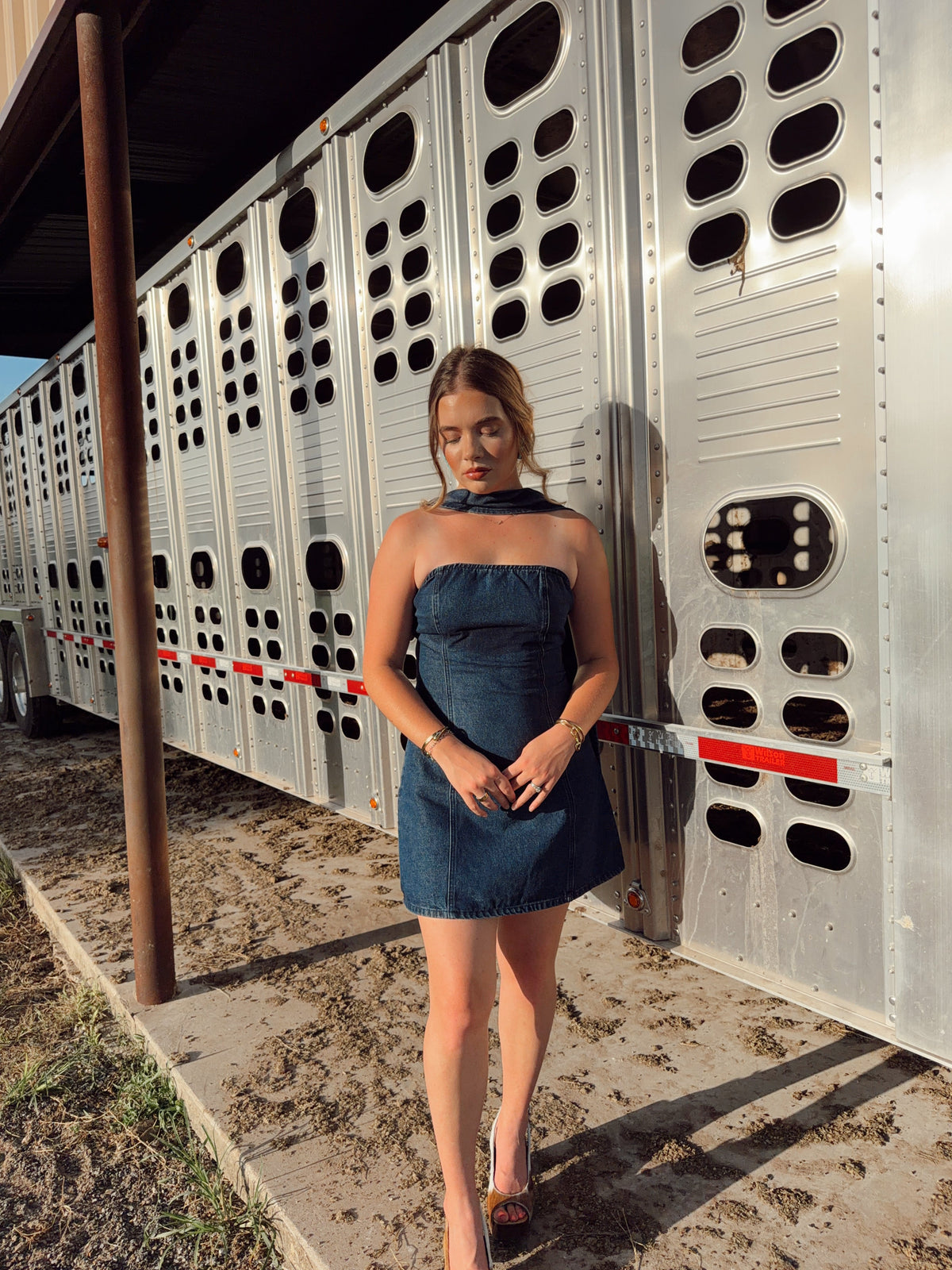 The Davie Denim Dress