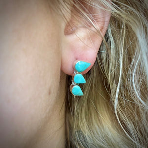 Dolly Ear Crawlers