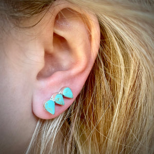 Dolly Ear Crawlers